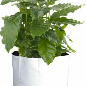 Sungrower 100-Pack 7 Gallon Grow Bags Black and White Panda Film Containers for Potted Plants