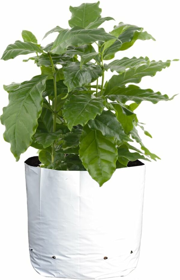 Sungrower 100-Pack 7 Gallon Grow Bags Black and White Panda Film Containers for Potted Plants