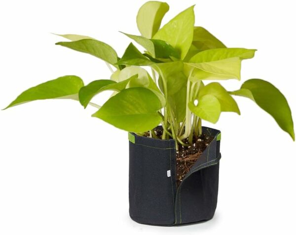 5pcs 1-Gallon Transplanter Fabric Pots/Breathable Planting Grow Bags w/Open-Lock-Strap & Handles (Black) - Image 21