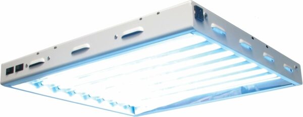 T5 HO 48 240V 8 Lamp, 4'