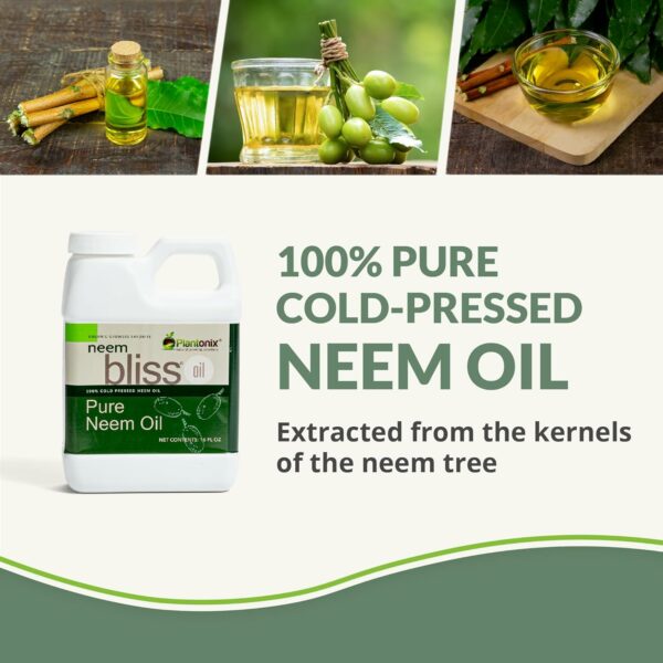 Neem Bliss (16 Fl Oz) - Pure Neem Oil Concentrate - 100% Cold Pressed Neem Oil - All-Natural Neem Oil Concentrate - Pure Neem Oil Extract - Unrefined Neem Oil for Hair - Neem Seed Oil Concentrate - Image 22